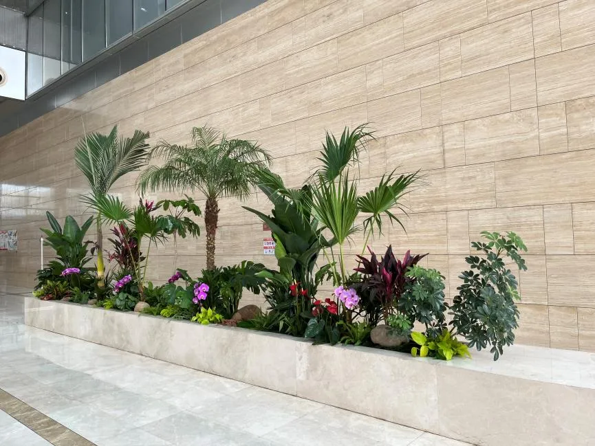 镇海绿植租赁价格实惠